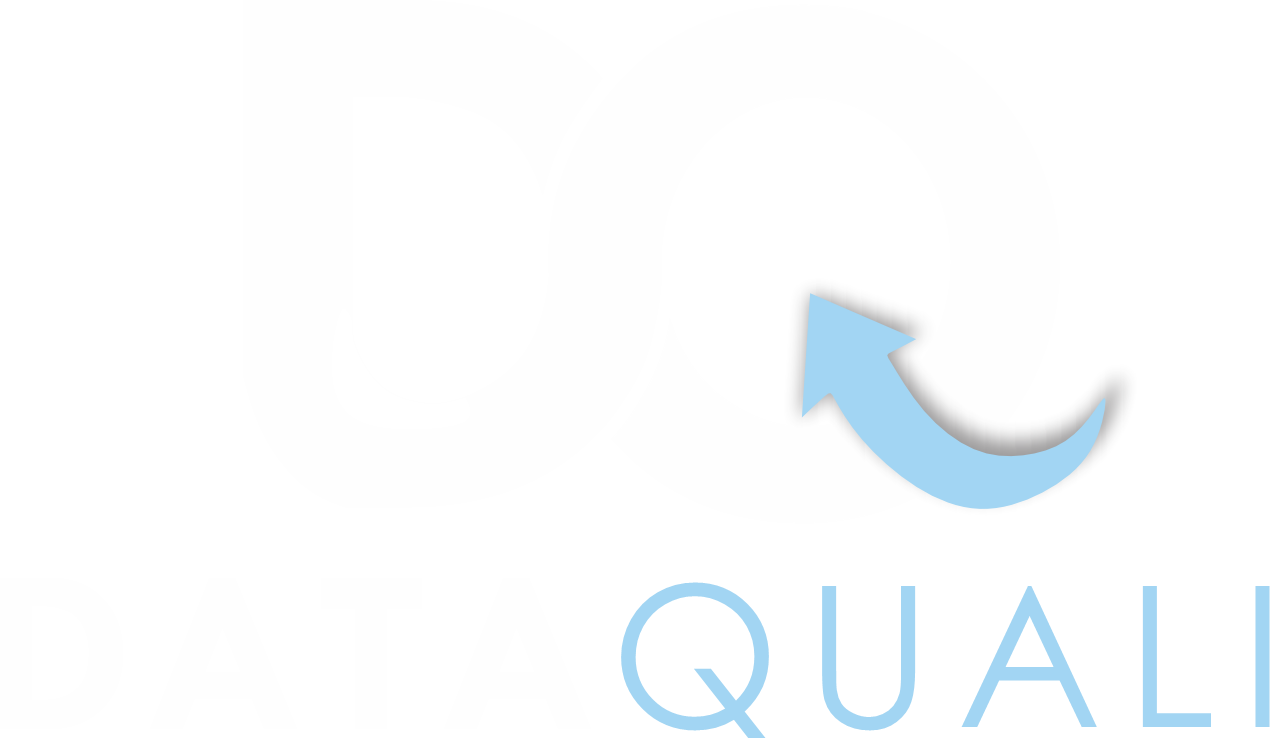 Logo Dataquali